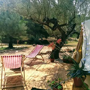 Сasa de vacaciones Romantic Safari Tent, Tortosa